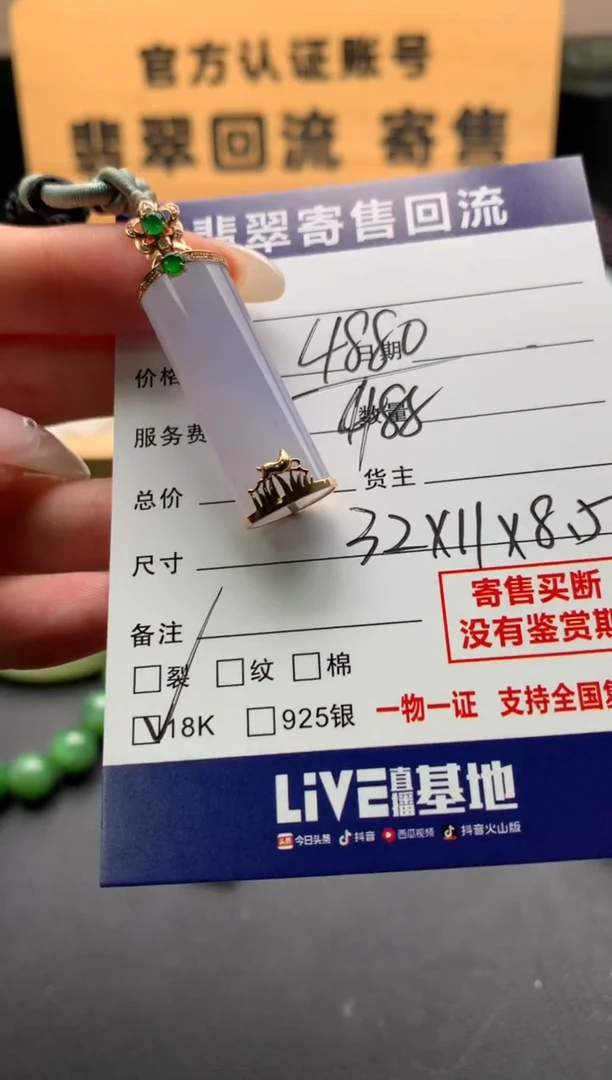 翡翠18K金镶嵌颈饰10138164