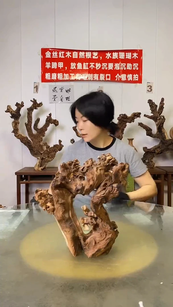香榧木小*虎金丝红木   羊蹄甲