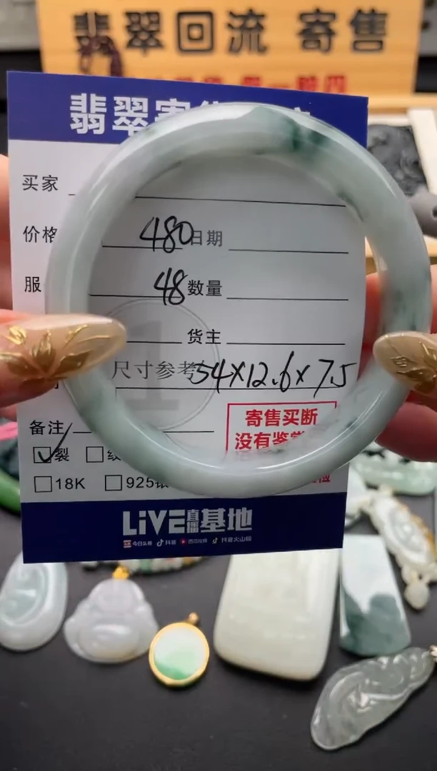 未镶嵌手镯翡翠10146754