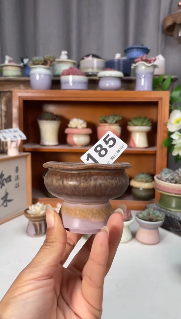 瓷片185知木小芳花盆编号