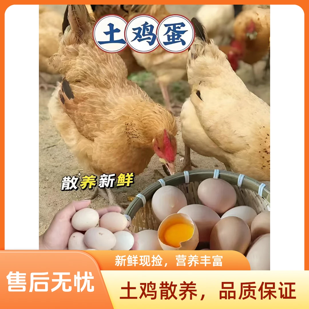 （产量有限，颜色混发）生态散养农家土鸡蛋到手十五枚45g±5g