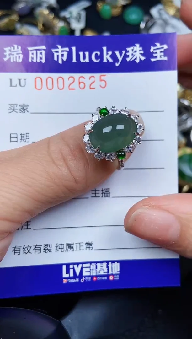 翡翠银S925镶嵌颈饰2625