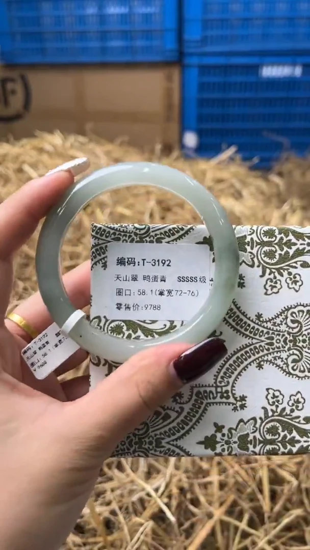 未镶嵌手镯石英质玉T-3192