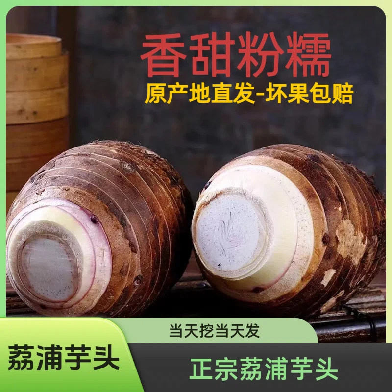 【原产地发货】正宗广西荔浦芋头新鲜蔬菜毛芋头香芋芋艿新鲜大芋头