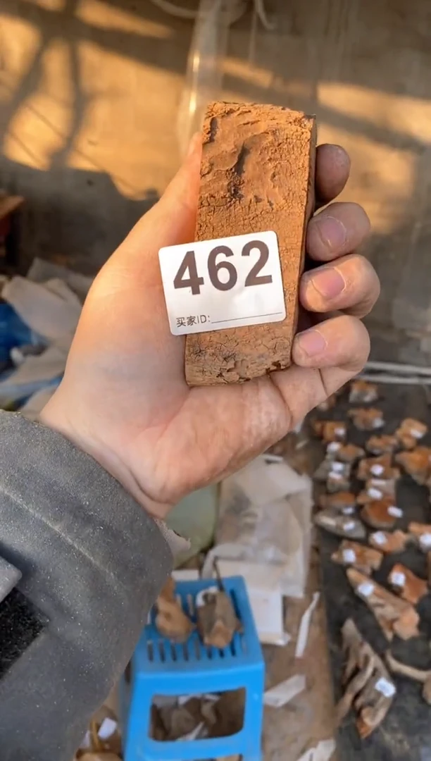 【闪购商品】柏木太行陈化崖柏（津诚林）切片随机一片