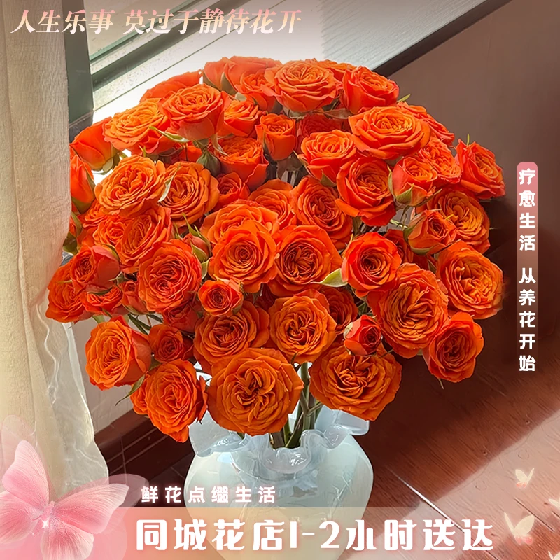2单起送【小时达·多头橙色芭比】5枝橙色芭比多头玫瑰鲜切花·家居花