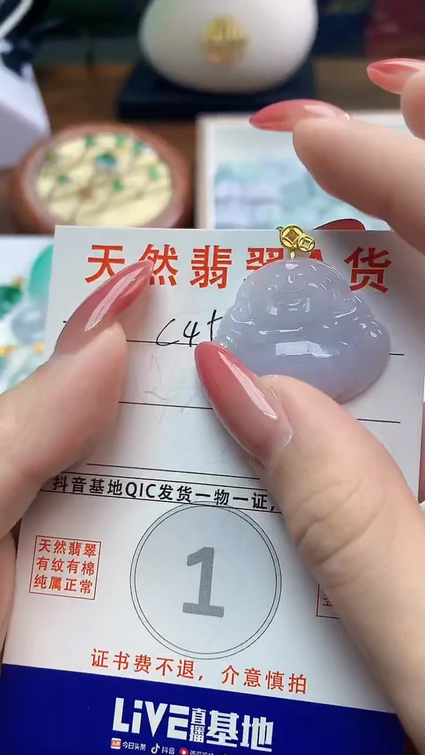 颈饰未镶嵌翡翠天然A货翡翠挂件