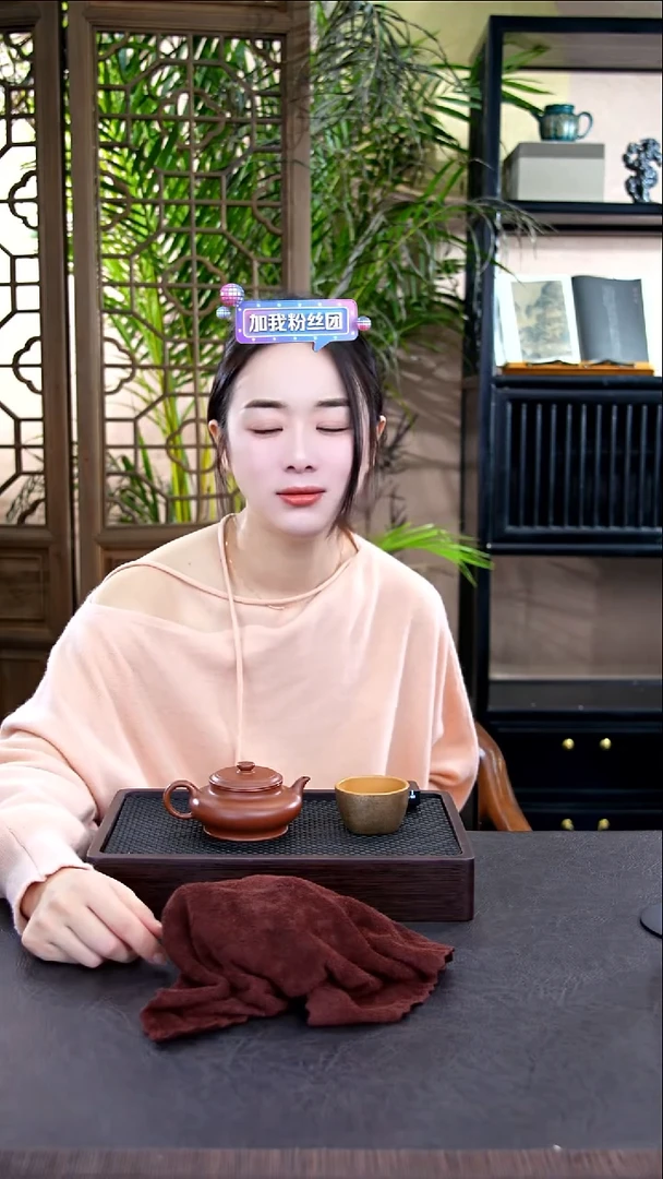 茶壶紫砂2宜兴紫砂壶惊喜