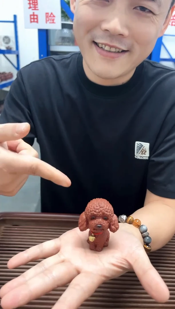 宜兴紫砂原矿泰迪茶宠