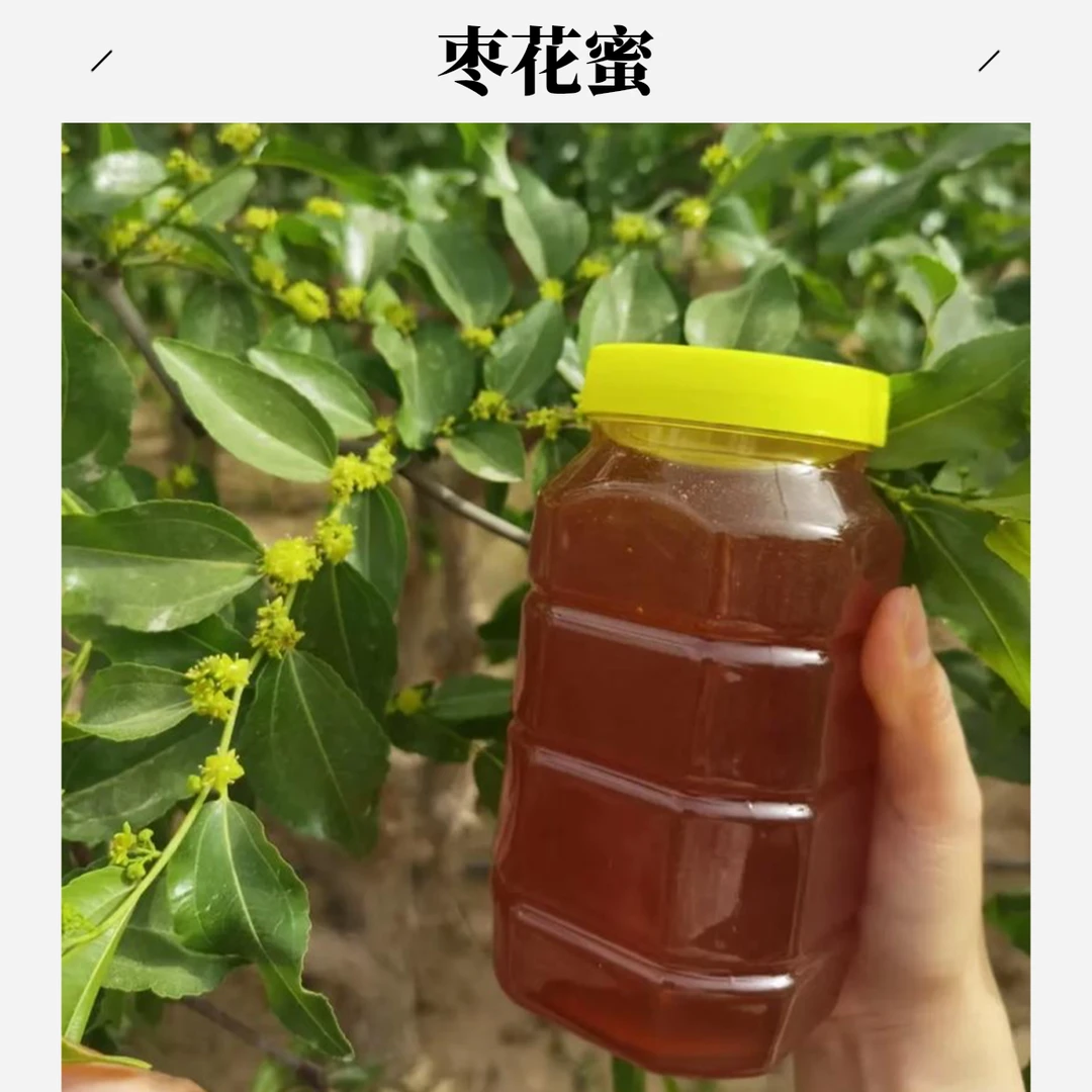 自产自销天然农家新疆枣花蜜支持检测假一赔十