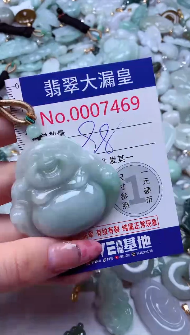 颈饰未镶嵌翡翠7469