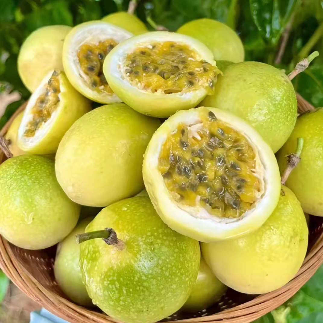 【瑕疵】黄金百香果10个