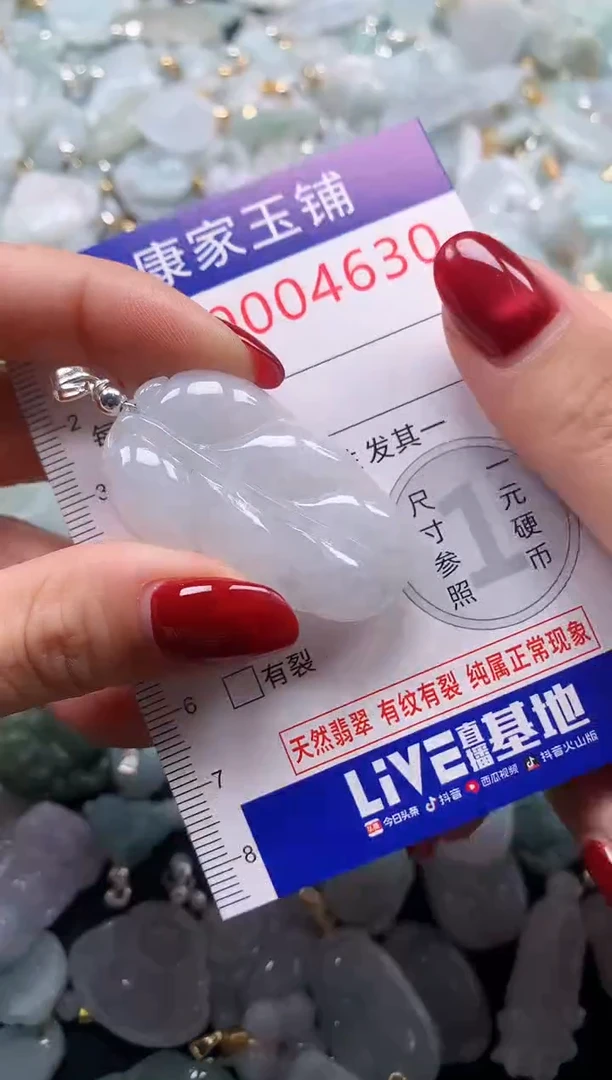 颈饰未镶嵌翡翠4630