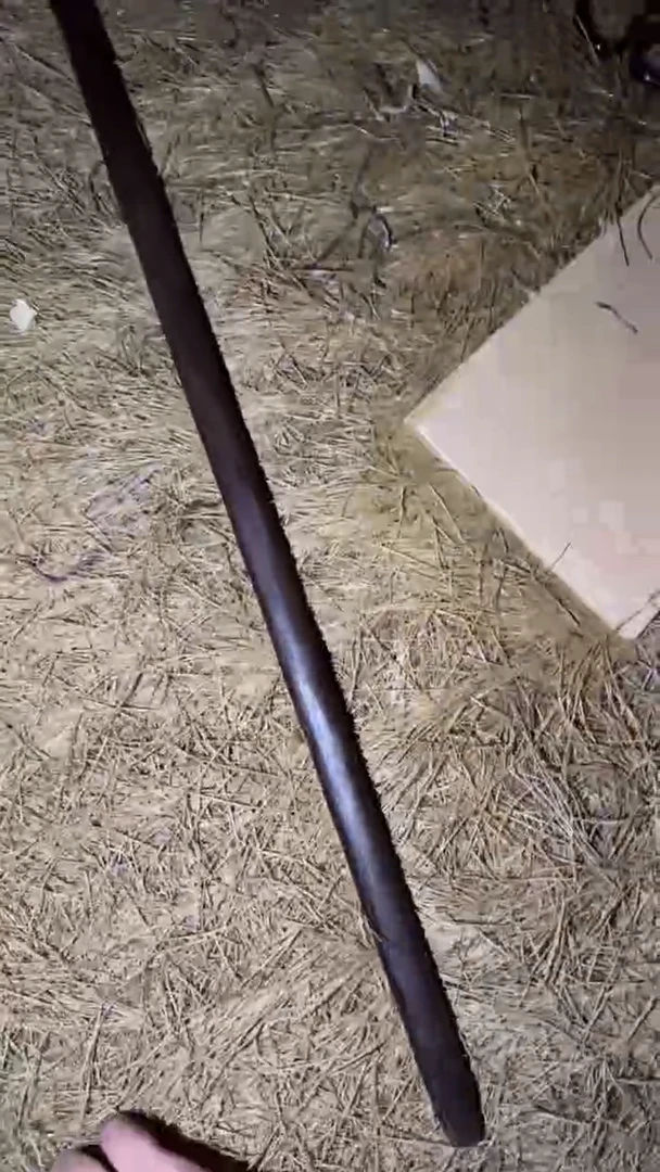 香榧木拐棍=====