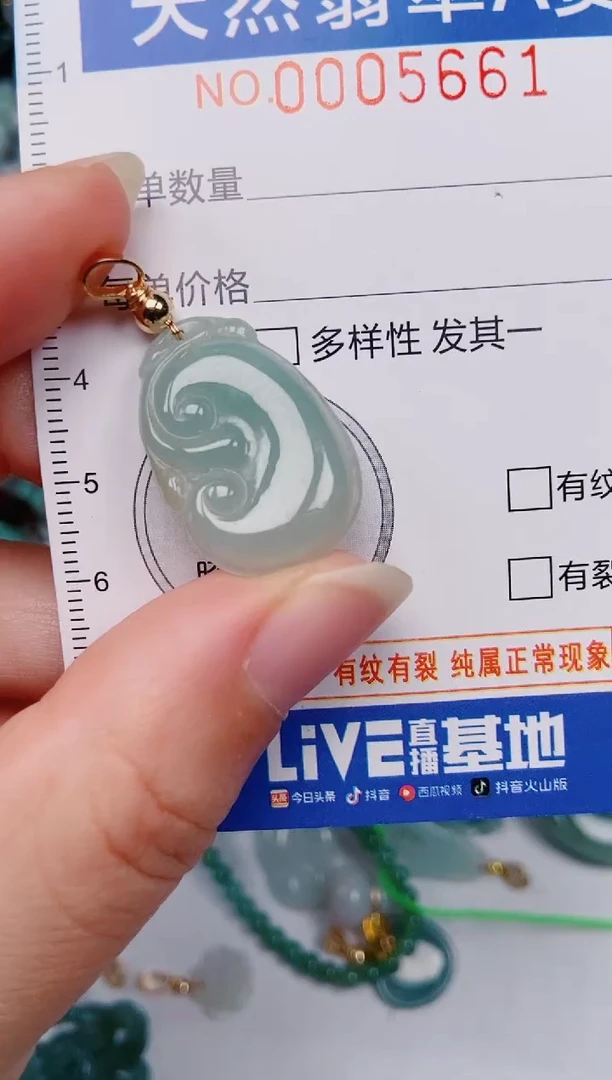 颈饰未镶嵌翡翠00005661