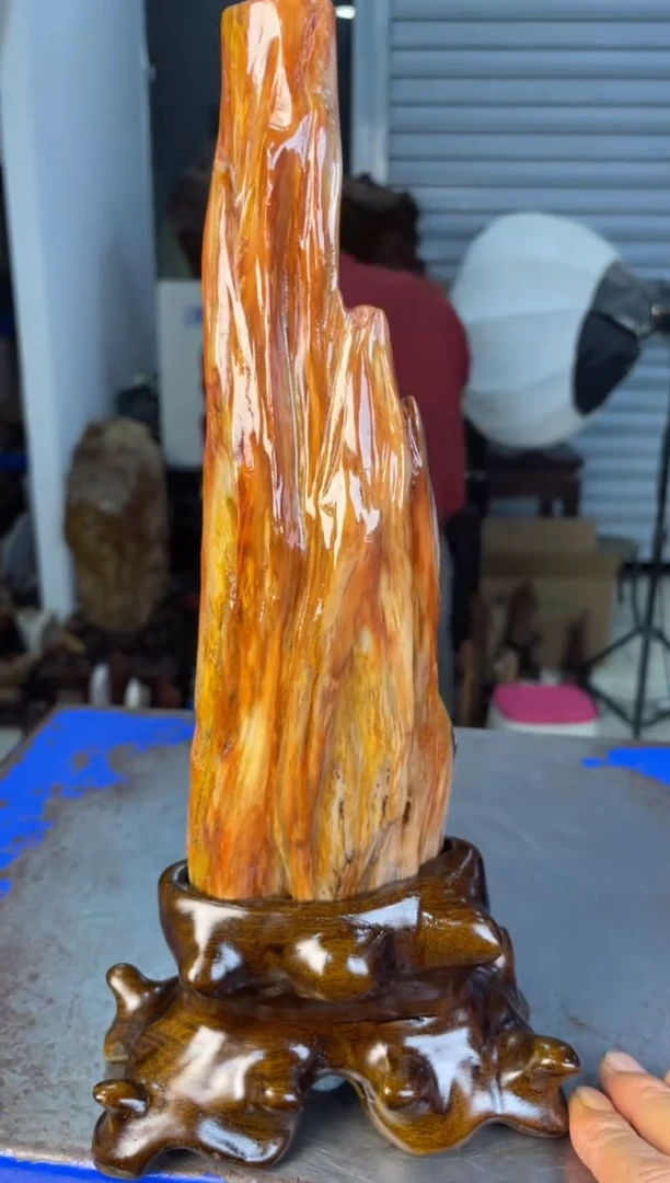 未镶嵌摆件硅化玉39