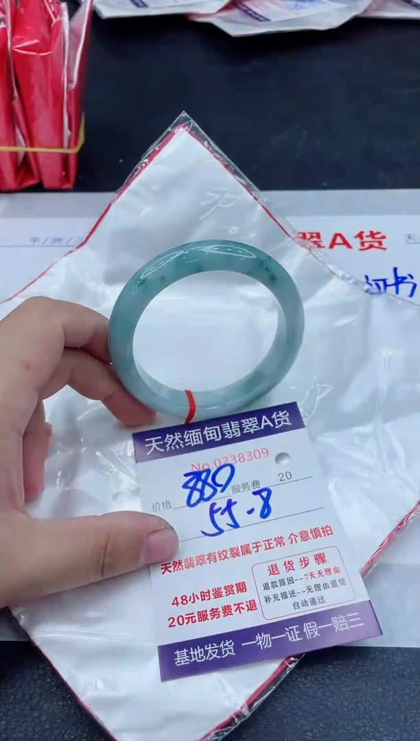 未镶嵌手镯翡翠880.00