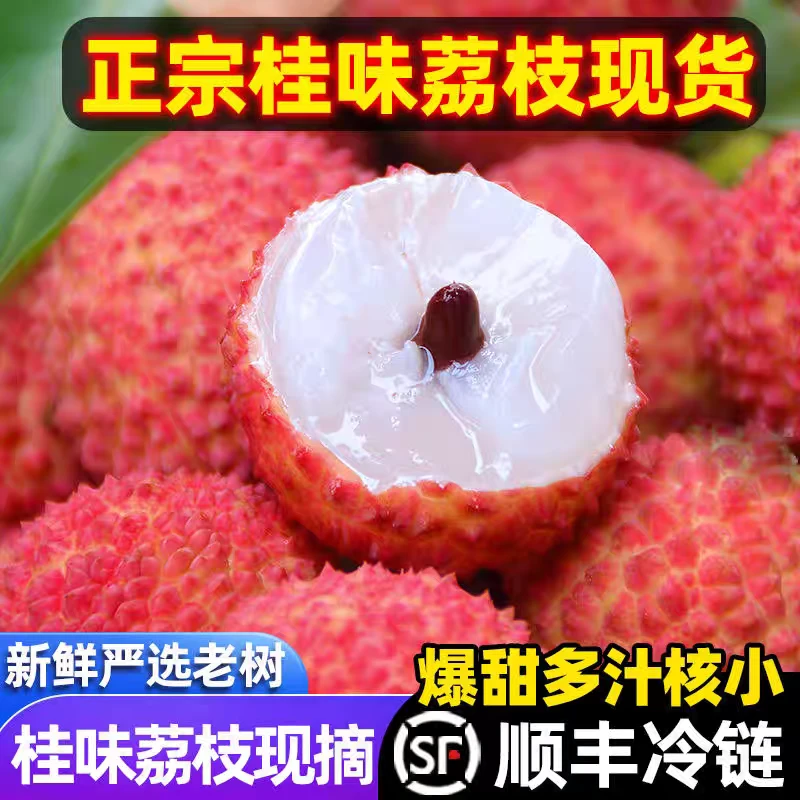 【顺丰冷链全程直达】现摘现发广东高州桂味荔枝现摘现发新鲜水果