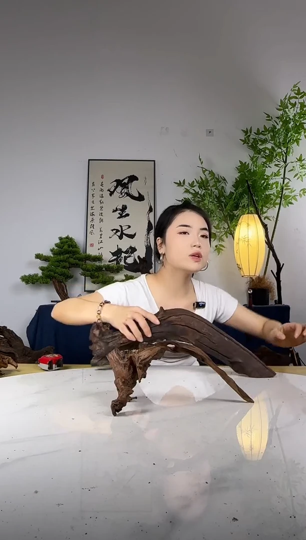 J*x拍这个定向编号88