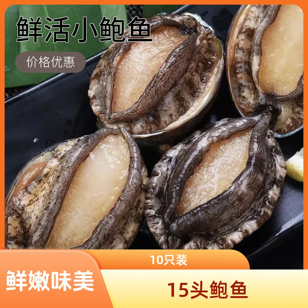 【爆款】15头鲍鱼 10只装