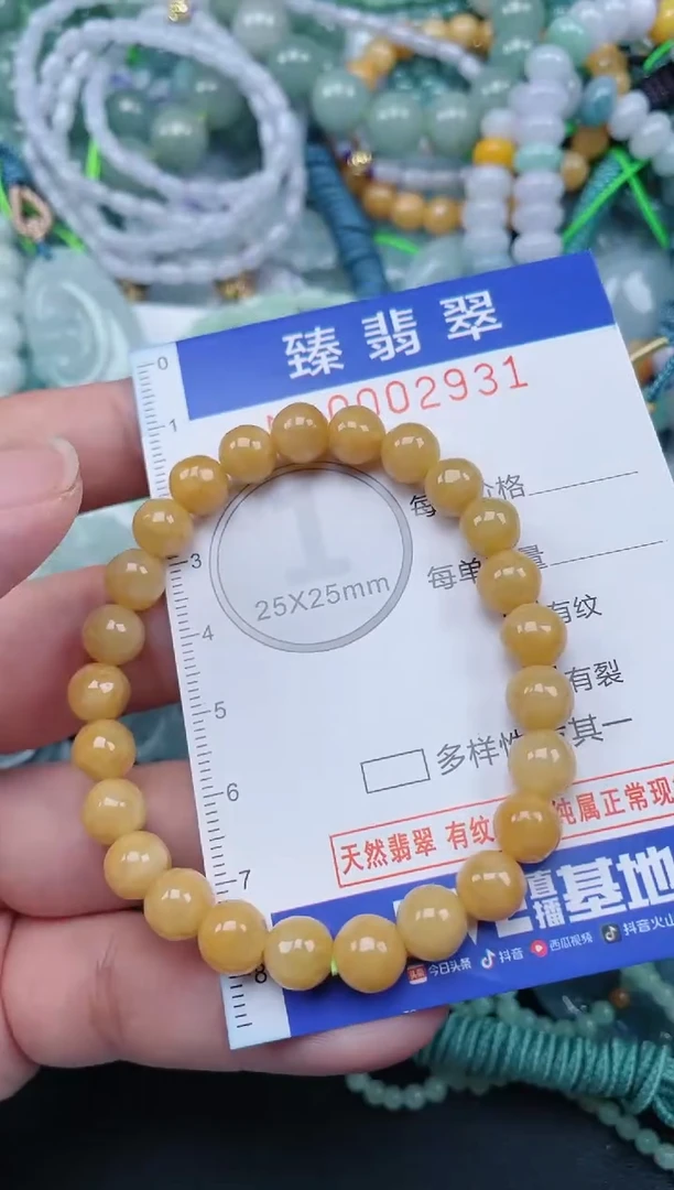 翡翠未镶嵌颈饰.0002931