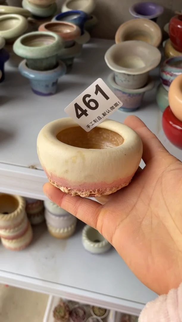 【闪购商品】摆件461知木小芳花盆