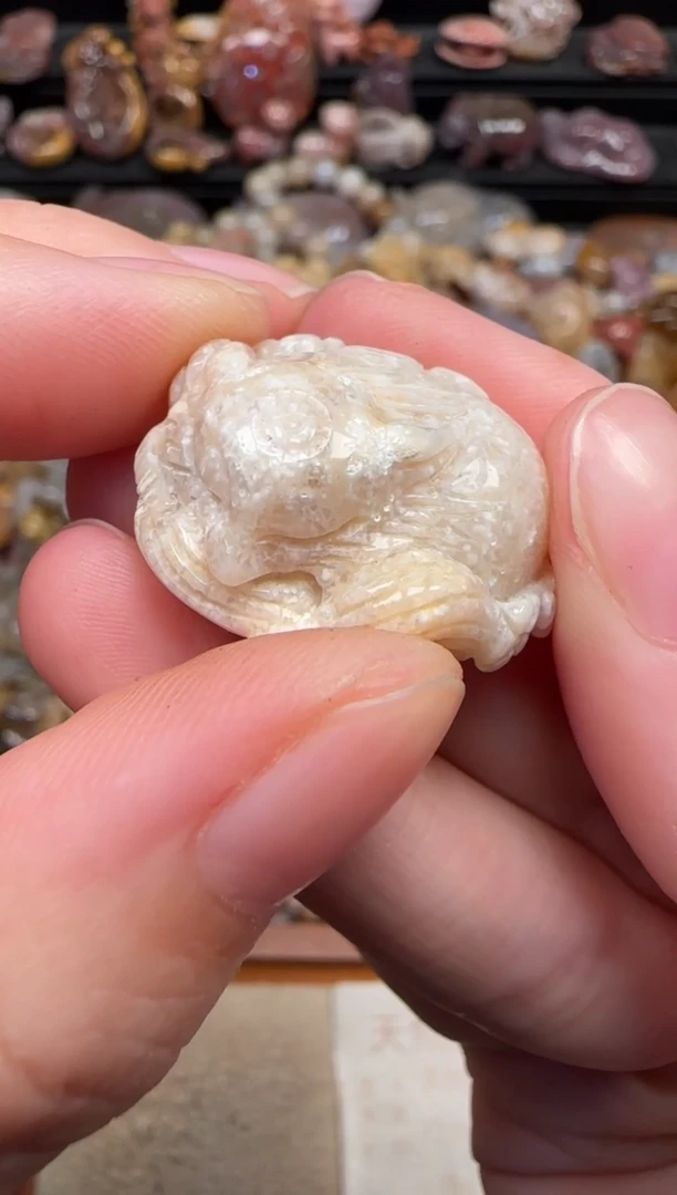 颈饰未镶嵌硅化珊瑚（珊瑚玉）294