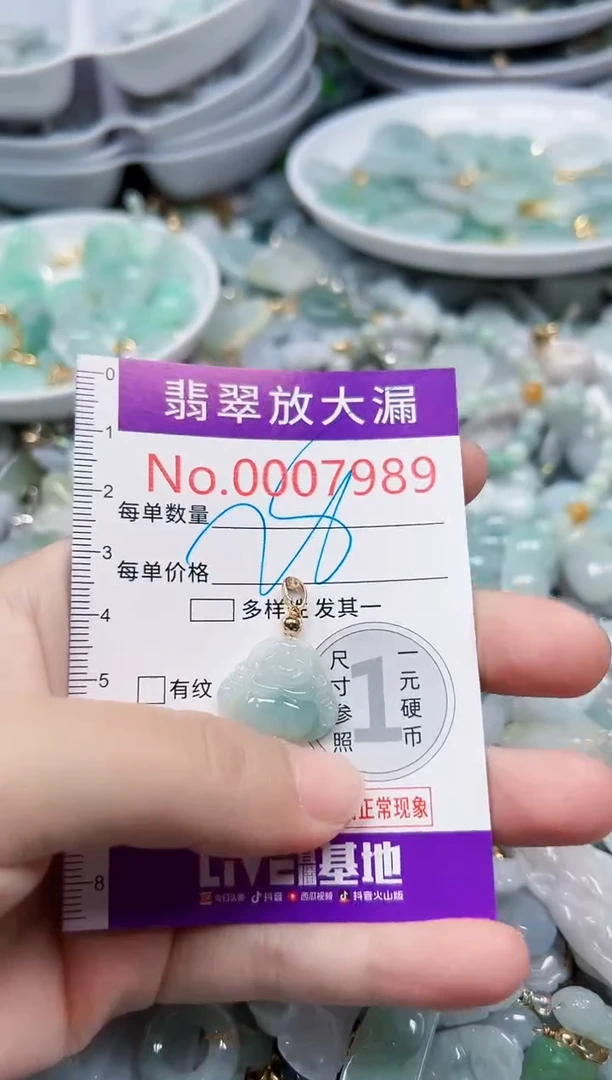 颈饰未镶嵌翡翠7989