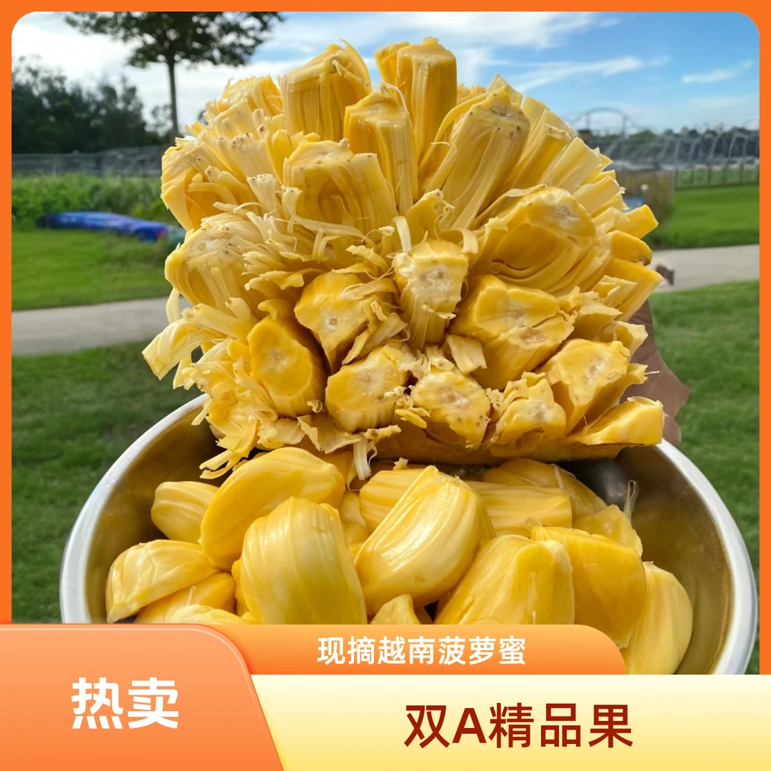 正宗越南红菠萝蜜新鲜进口水果顺丰包邮送到家热带水果红肉菠萝蜜海南省