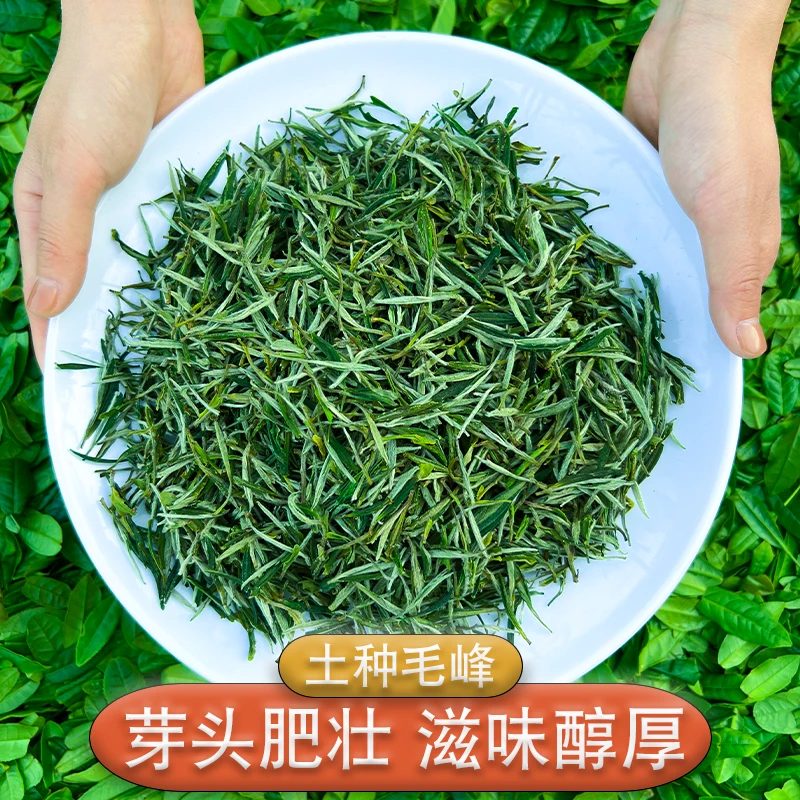 【2025新茶】土种毛峰雨前新茶春茶安徽歙县浓香型高山云雾绿茶