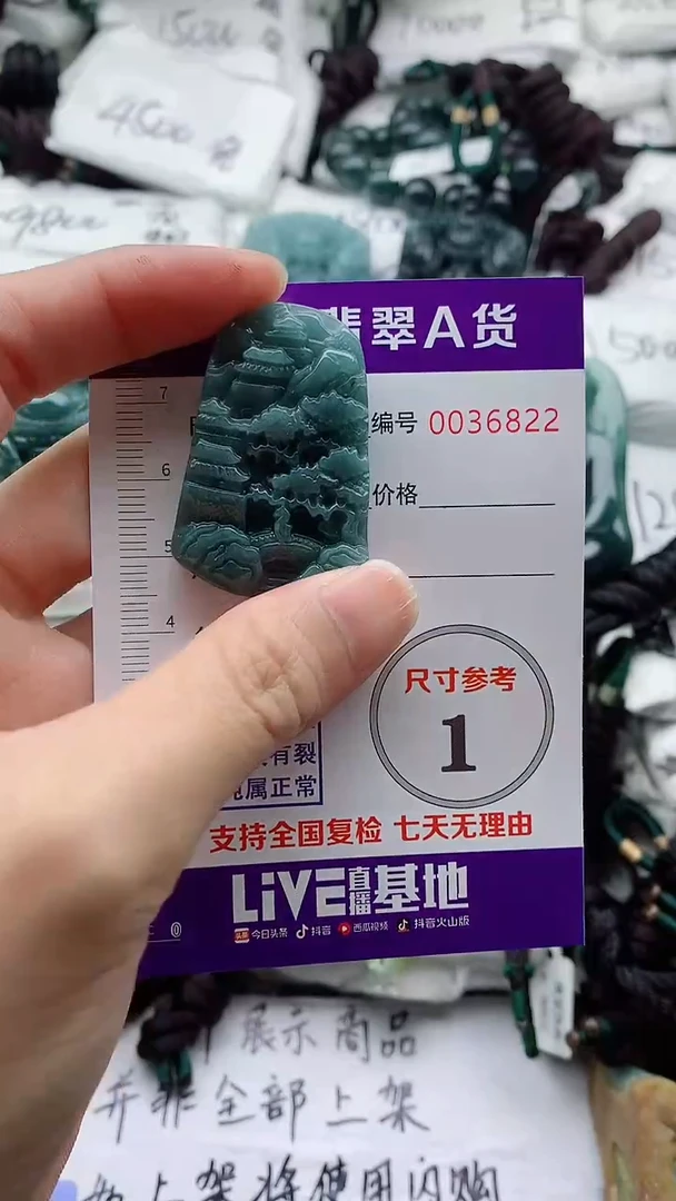 翡翠未镶嵌颈饰000000