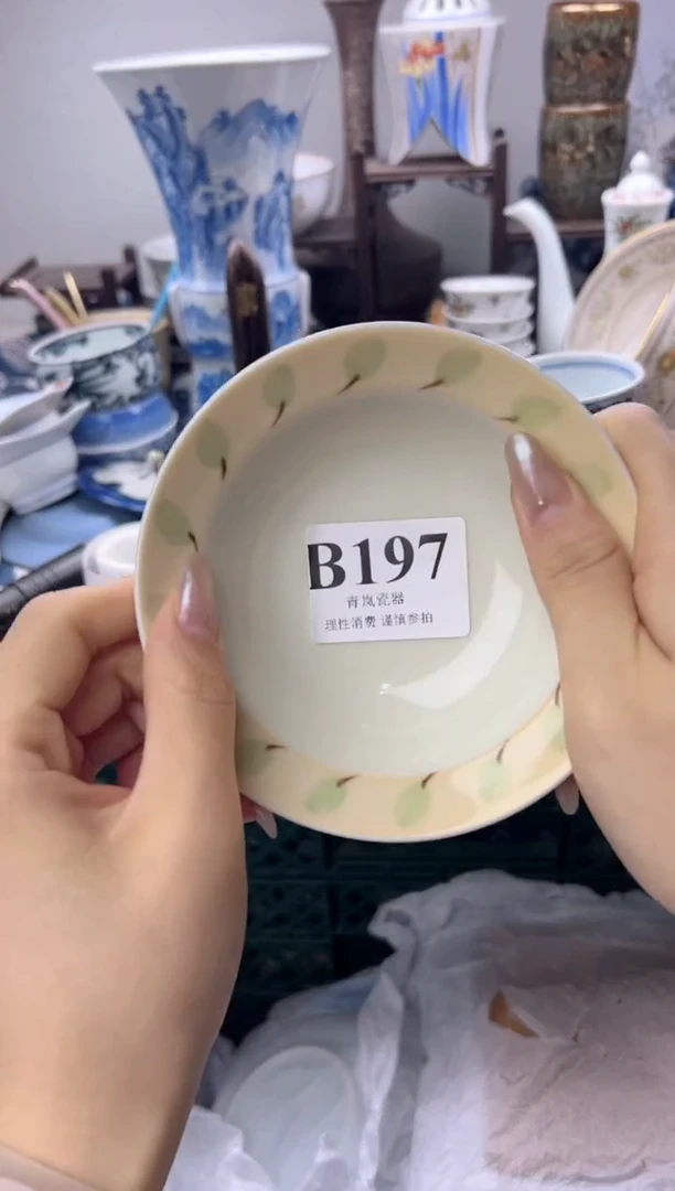 瓷片马****豆  B197