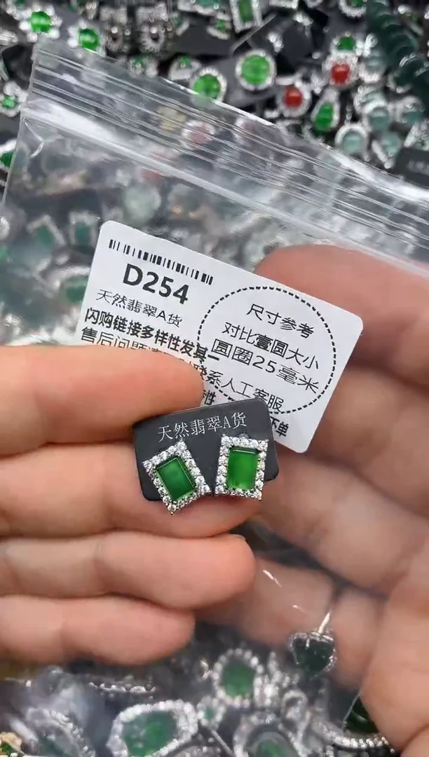 颈饰未镶嵌翡翠D254耳钉