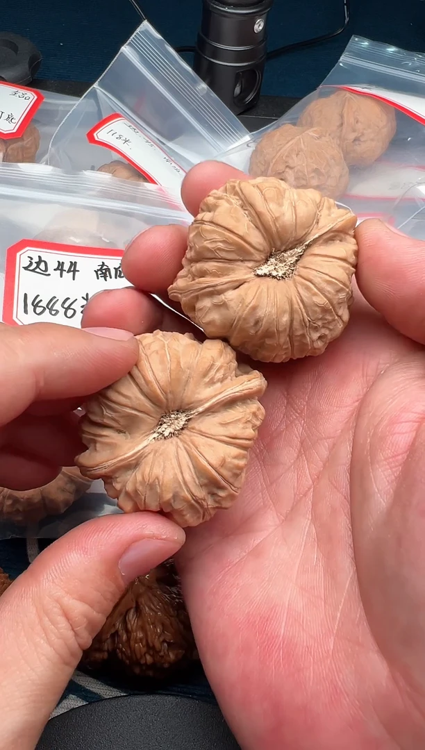 0426-南瓜墩-文玩核桃-Ysd