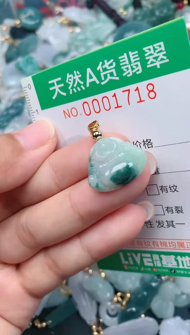 颈饰未镶嵌翡翠.0001718