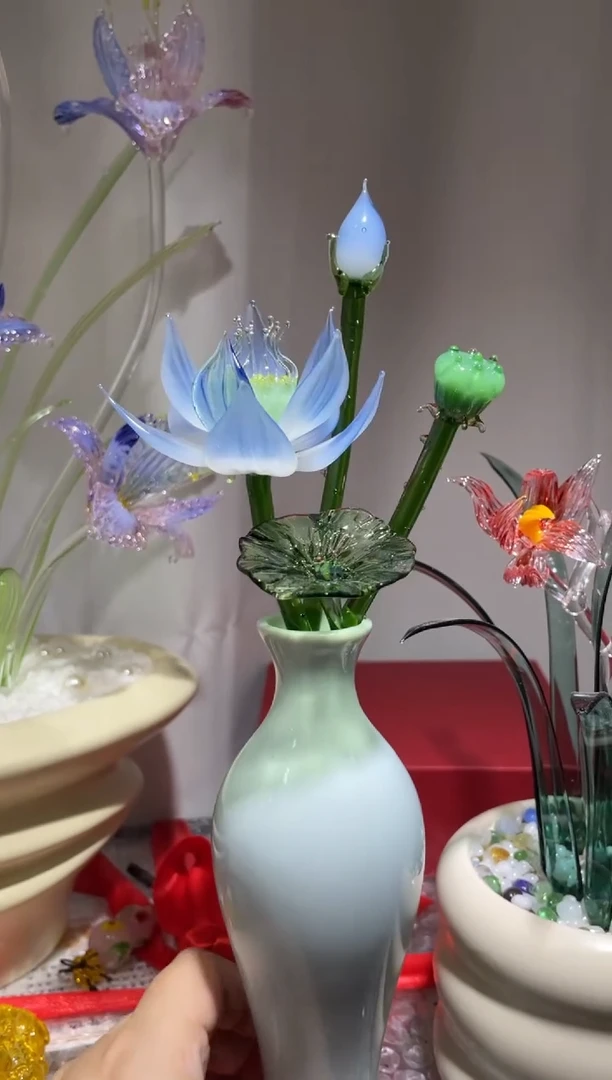 琉璃20荷花 福利款