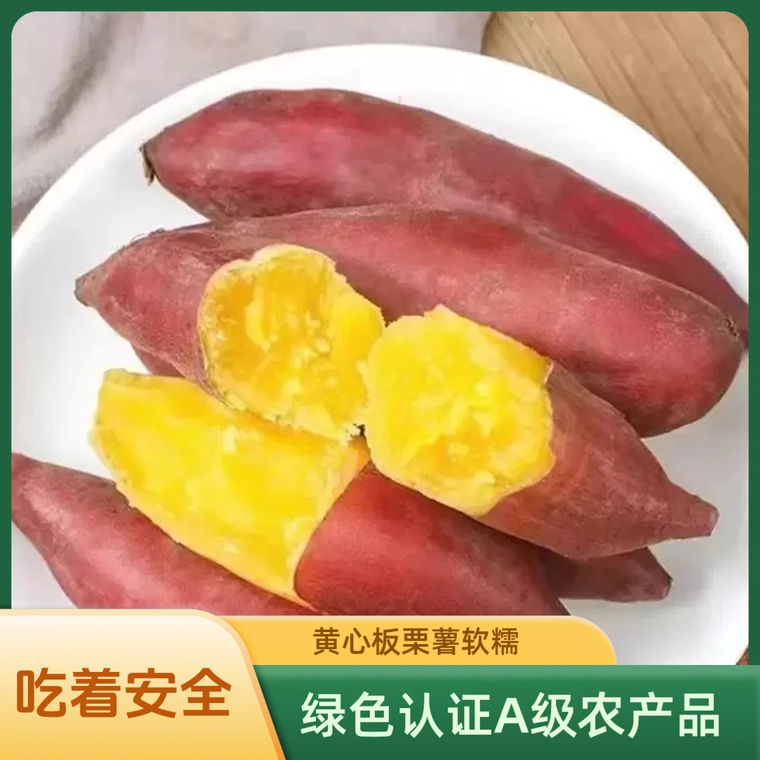 山东正宗板栗薯现挖现发红薯香甜烤地瓜新鲜红薯软糯干面沙地种植