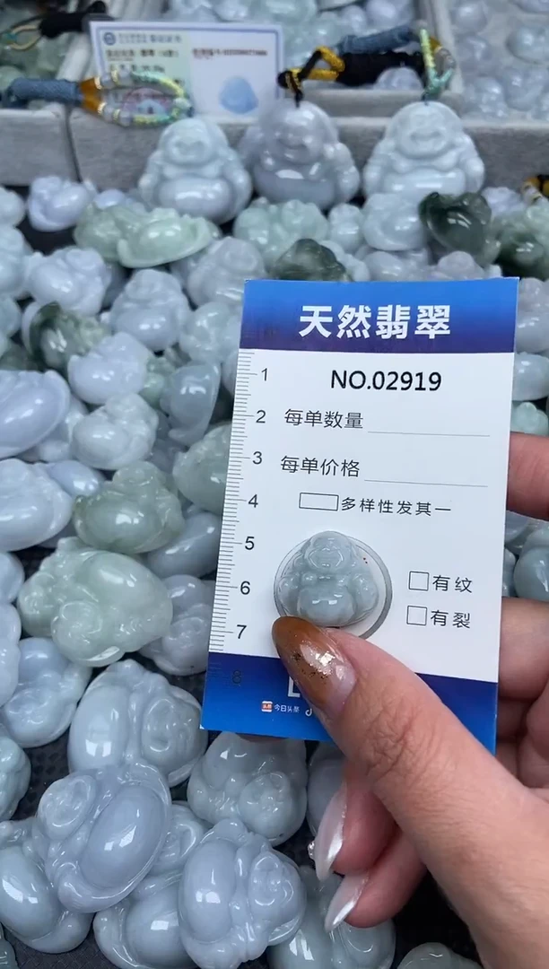 颈饰未镶嵌翡翠纯天然A货翡翠2919