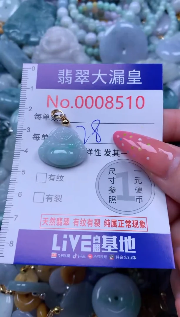 翡翠未镶嵌吊坠(不含链)8510