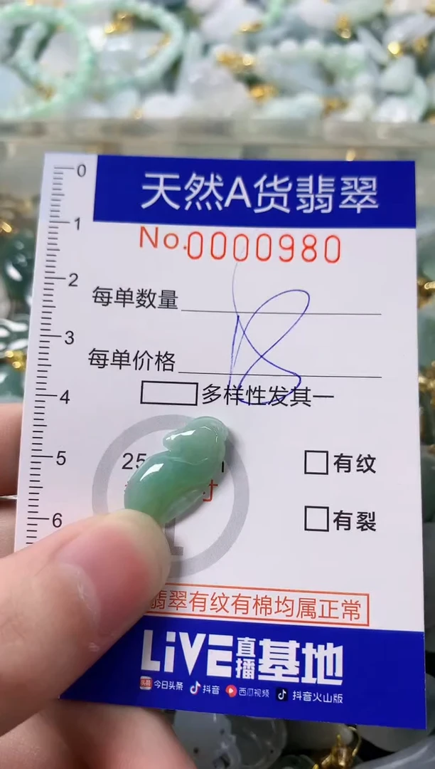 颈饰未镶嵌翡翠天然A货翡翠