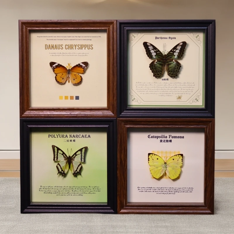 真蝴蝶标本组合款装饰画成品相框摆件送礼高档家居摆件生日礼物
