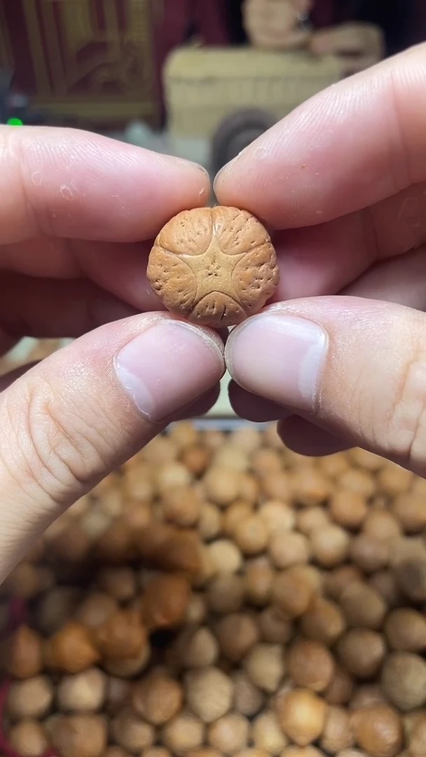 龙眼菩提吊坠五星三通