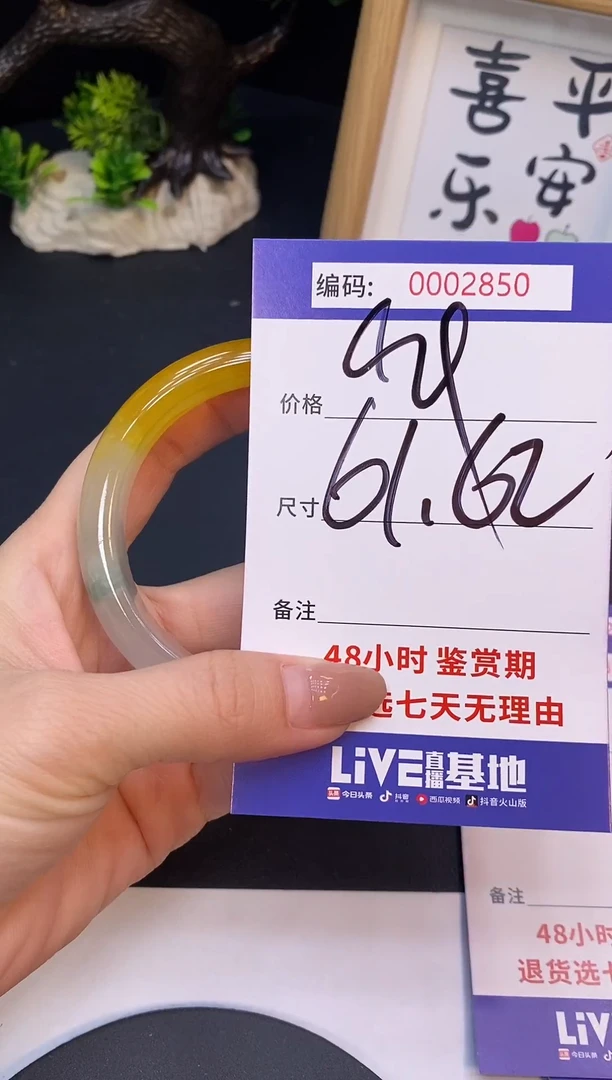 未镶嵌手镯翡翠0002850