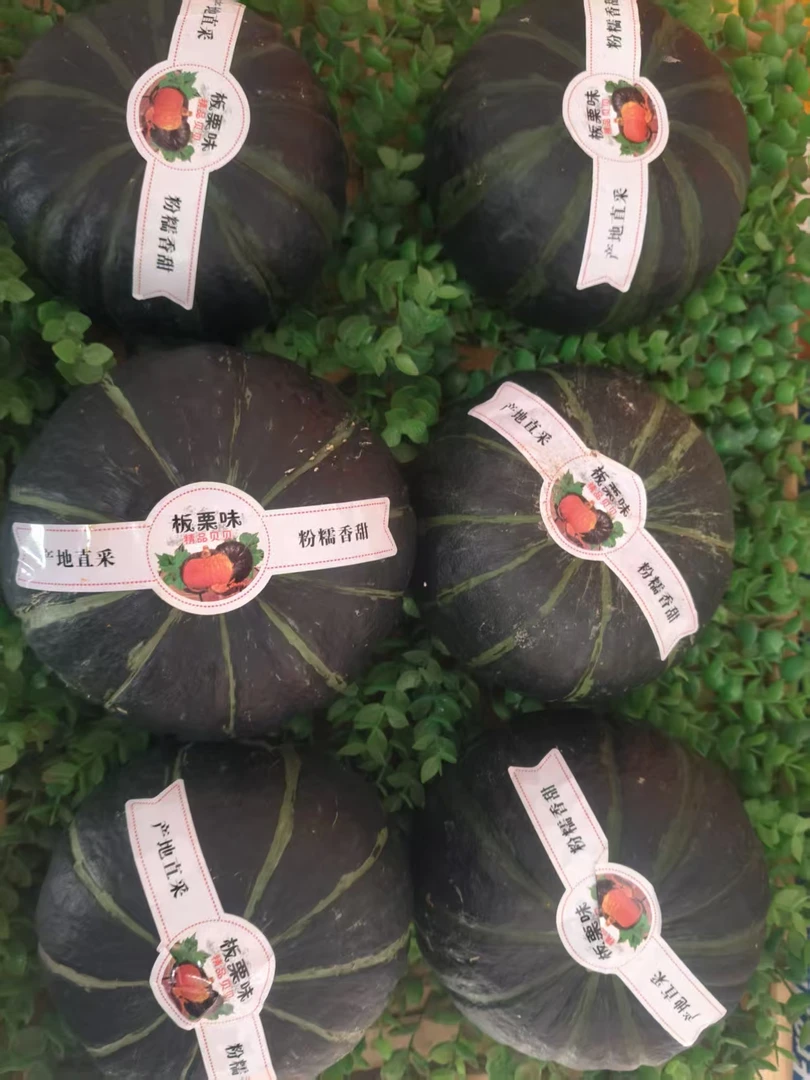 M正宗贝贝南瓜板栗味粉糯香甜孕妇宝宝辅食