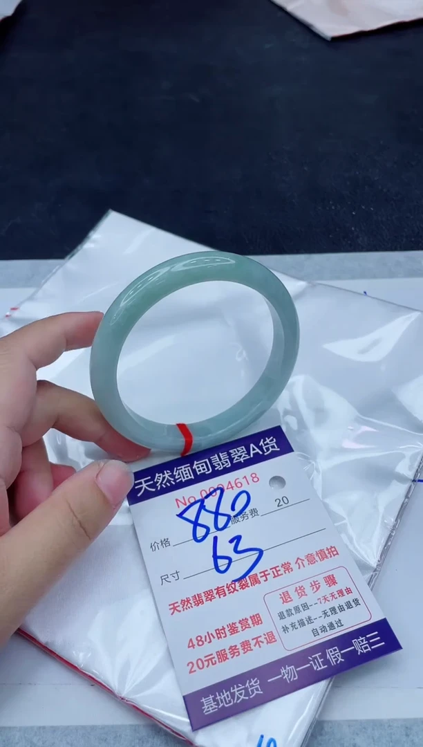 未镶嵌手镯翡翠880.0000