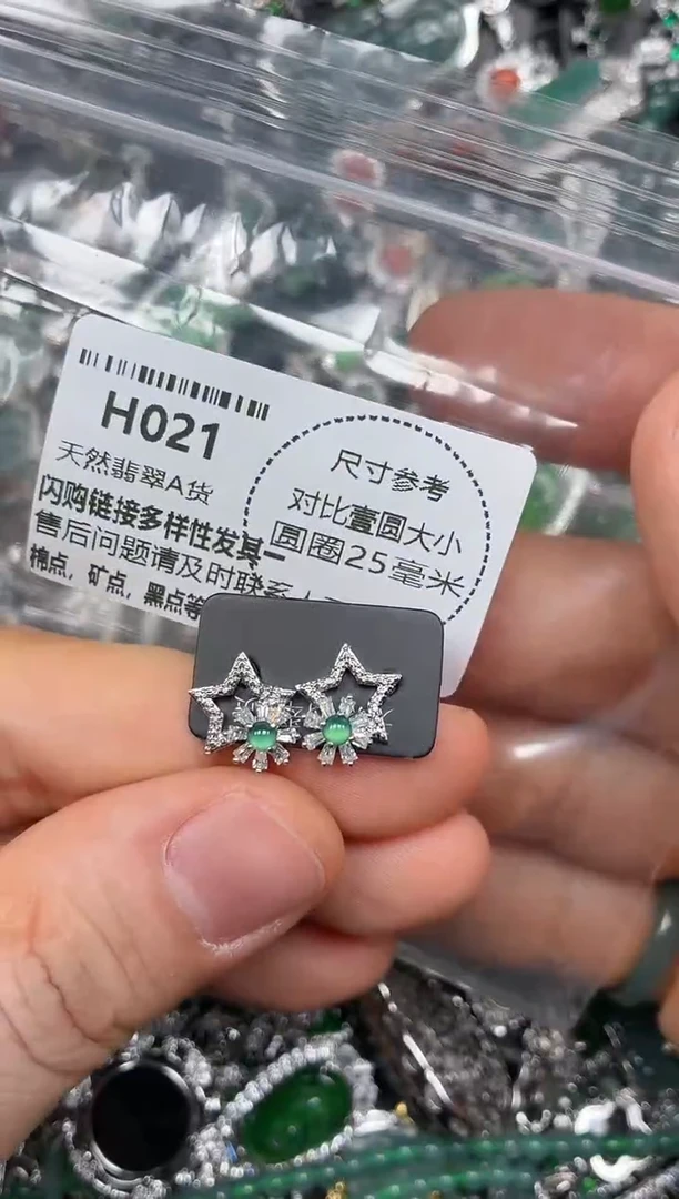 颈饰未镶嵌翡翠H021耳钉
