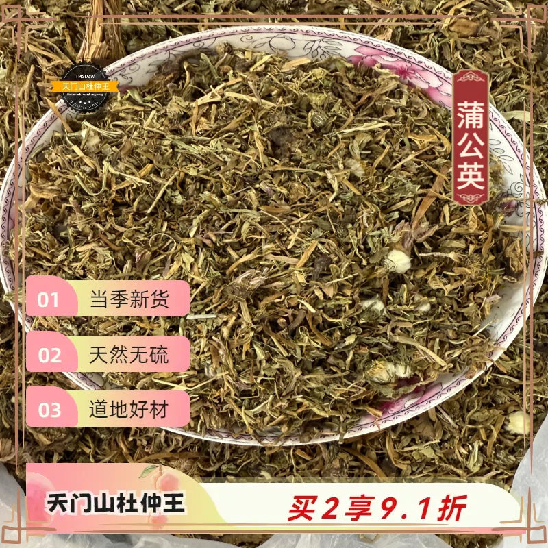 【天门山杜仲王】蒲公英 湖南道地直采 天然无硫