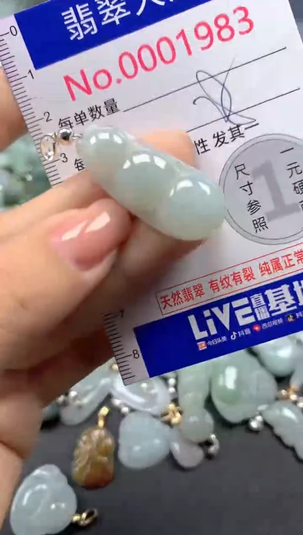 颈饰未镶嵌翡翠1983