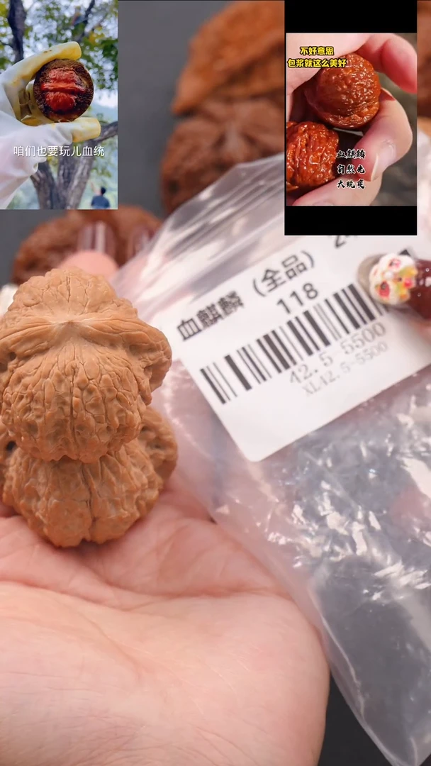 【闪购商品】文玩核桃把件42.5血麒麟狮子头（全品）