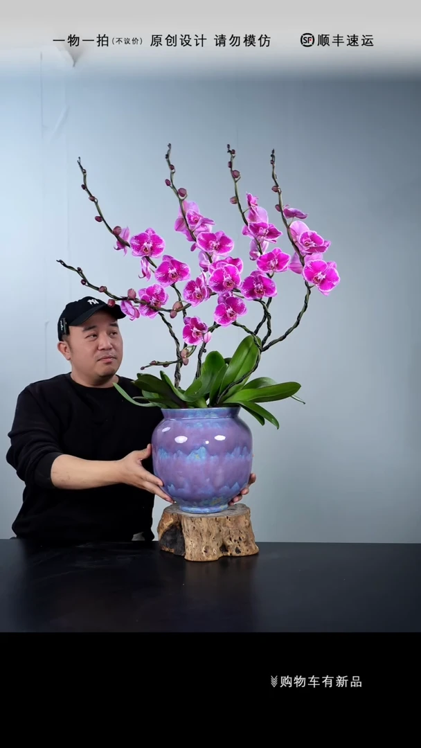 【闪购商品】033号链接【一物一拍】艺术盆景